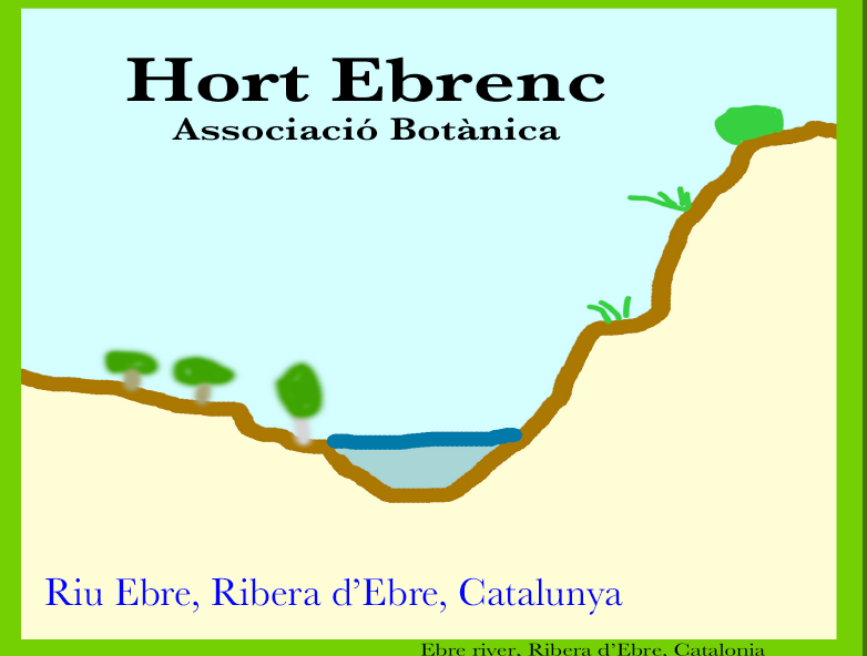 Associació Botànica Hort Ebrenc